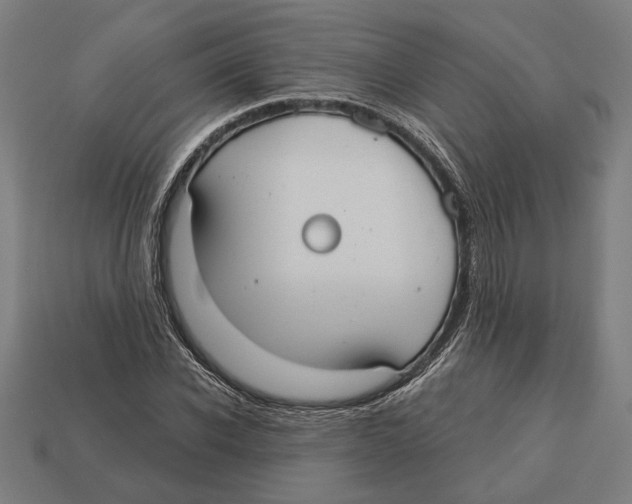 X0000113060926200909250906