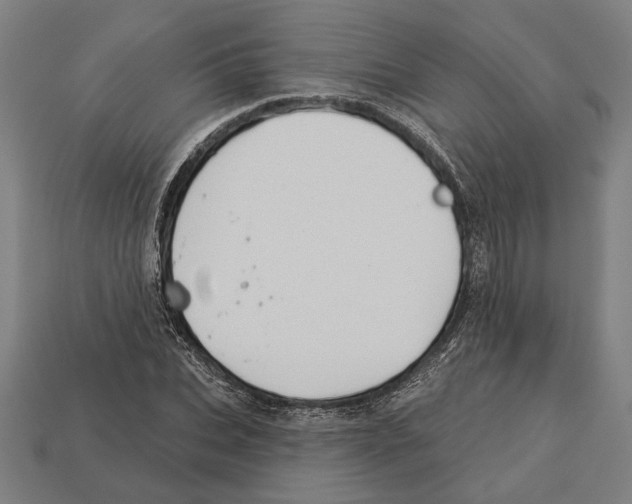 X0000113060927200909250906