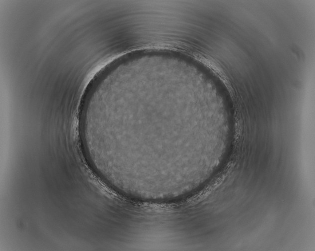 X0000113060928200909250906