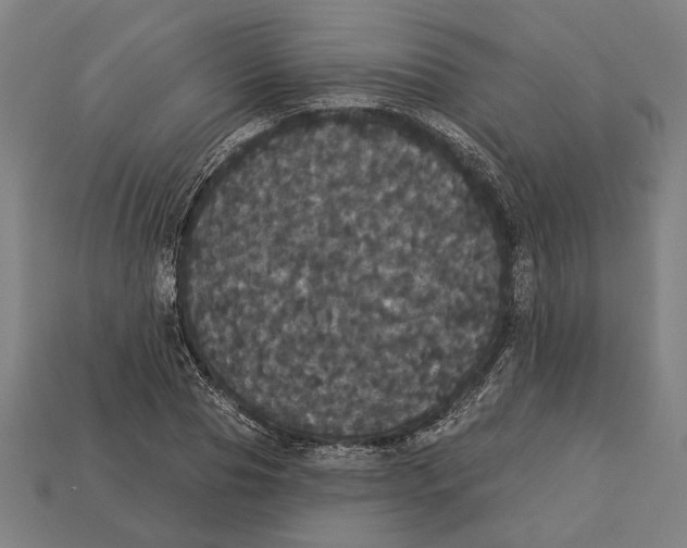 X0000113060929200909250906