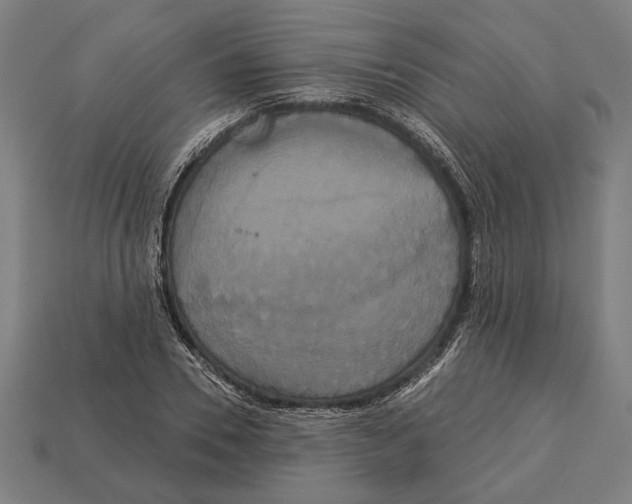 X0000113060930200909250906