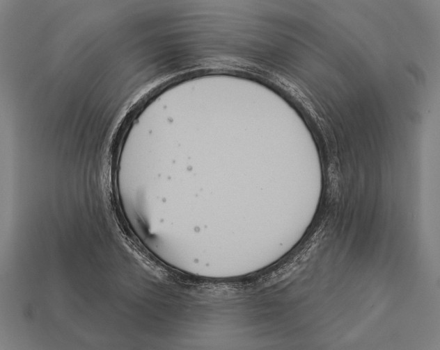 X0000113060931200909250906