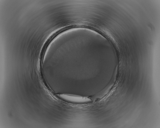 X0000113060932200909250906