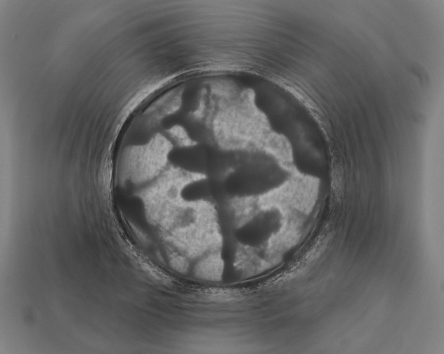 X0000113060933200909250906