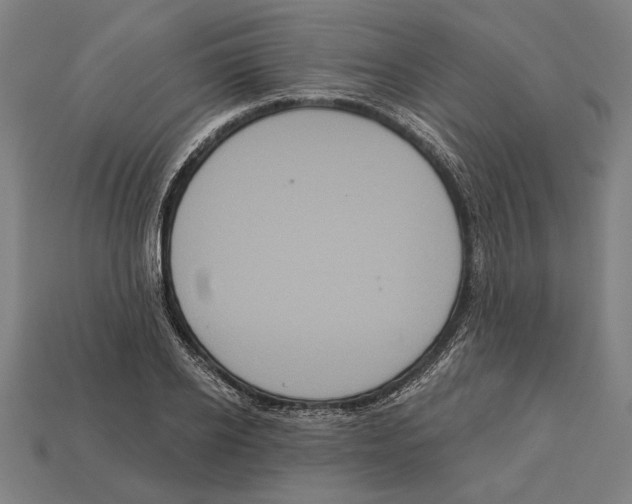 X0000113060934200909250906