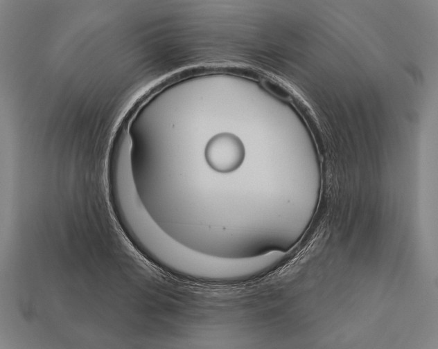 X0000113060935200909250906