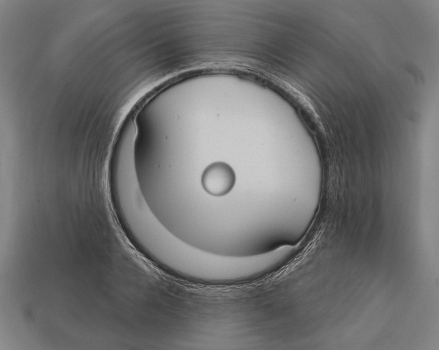 X0000113060936200909250906