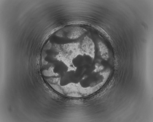 X0000113060937200909250906