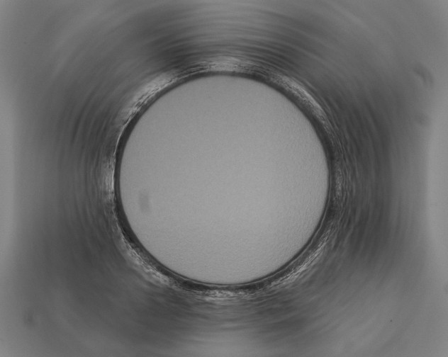 X0000113060938200909250906