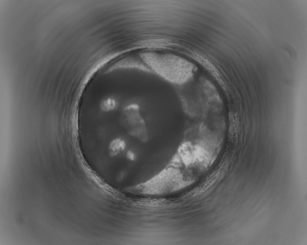 X0000113060939200909250906