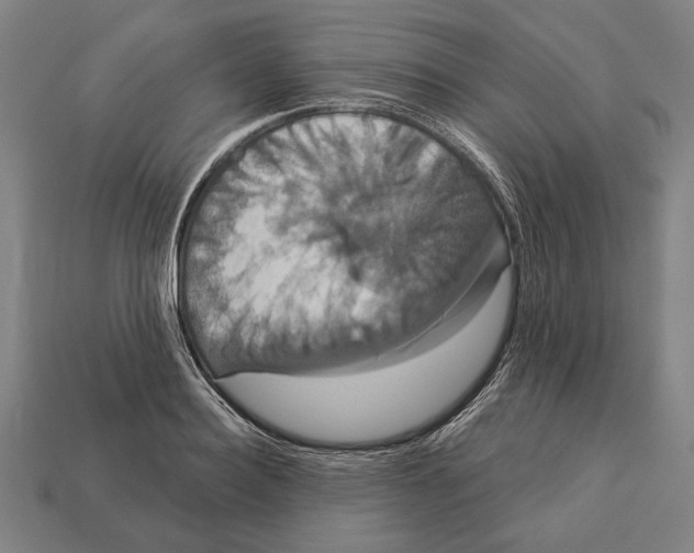 X0000113060940200909250906