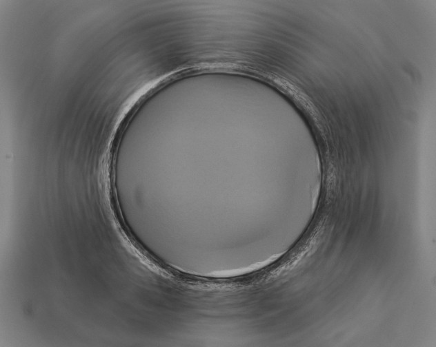 X0000113060941200909250906