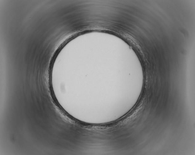 X0000113060942200909250906