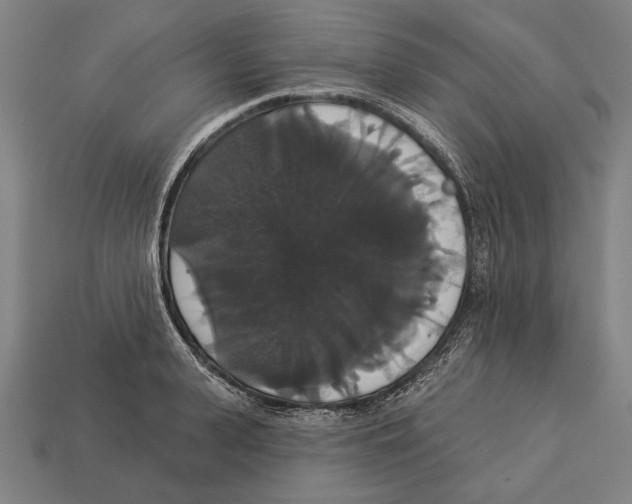 X0000113060943200909250906