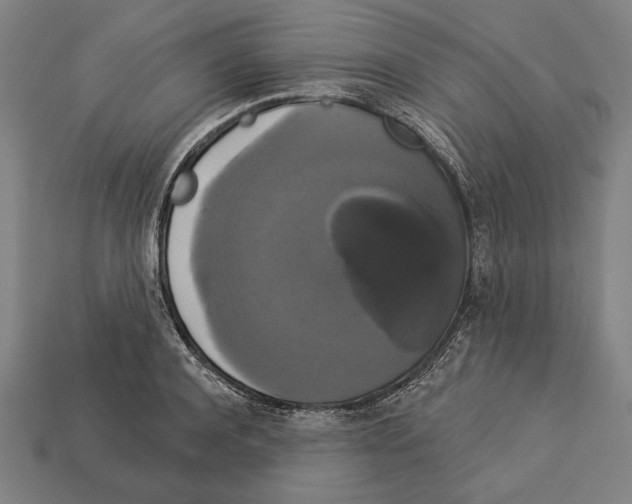 X0000113060944200909250906