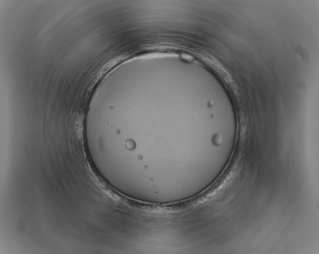 X0000113060945200909250906