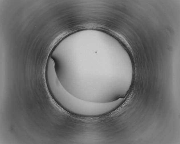 X0000113060946200909250906