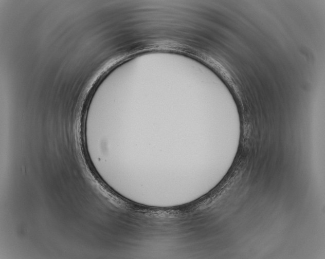 X0000113060947200909250906