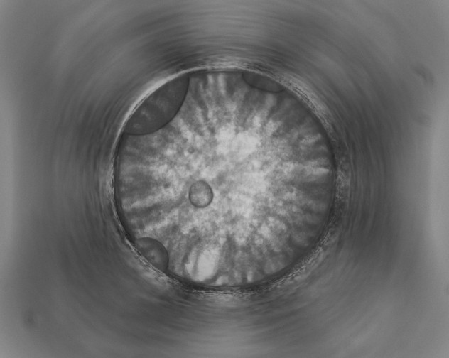 X0000113060948200909250906