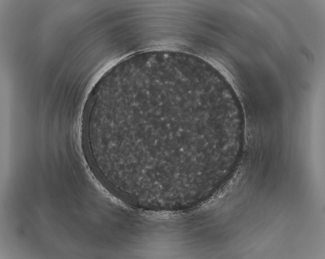 X0000113060949200909250906