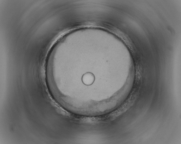 X0000113060950200909250906