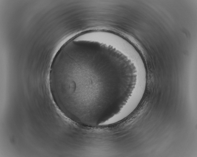 X0000113060951200909250906