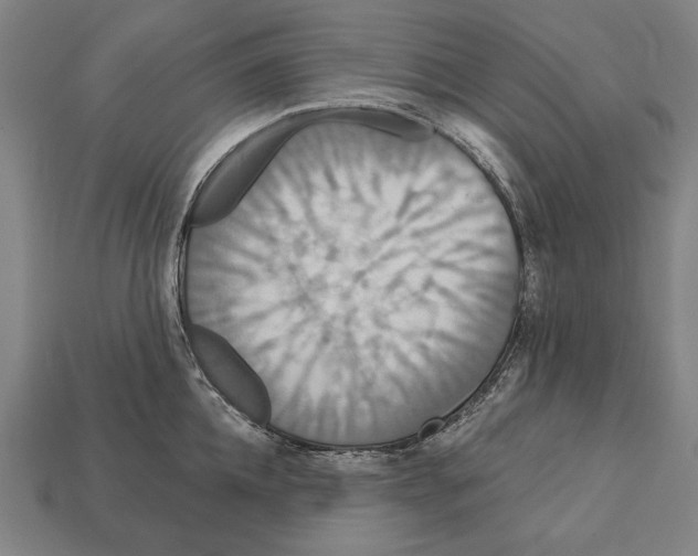 X0000113060952200909250906