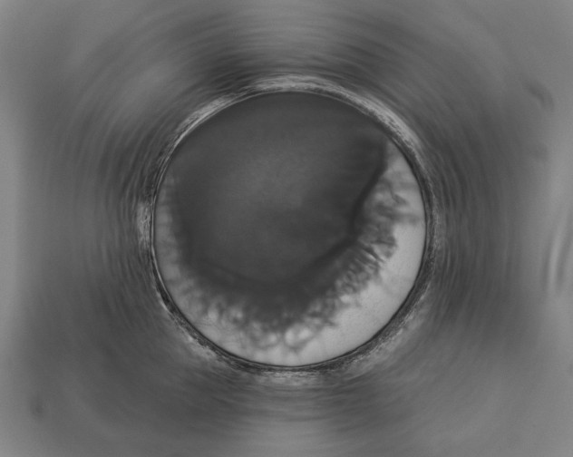 X0000113060953200909250906