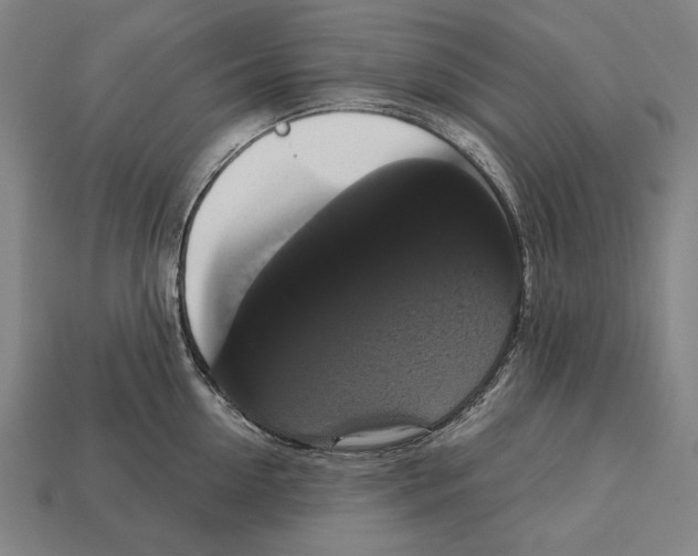 X0000113060954200909250906