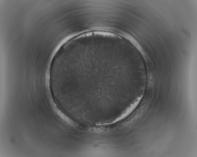 X0000113060955200909250906