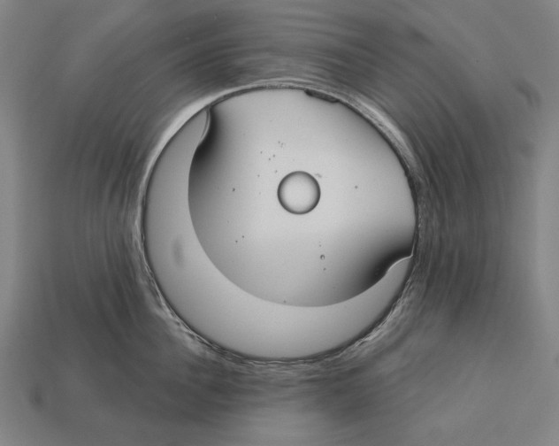 X0000113060956200909250906