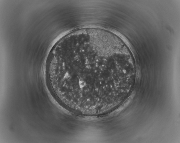 X0000113060957200909250906