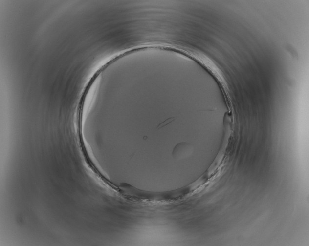 X0000113060958200909250906