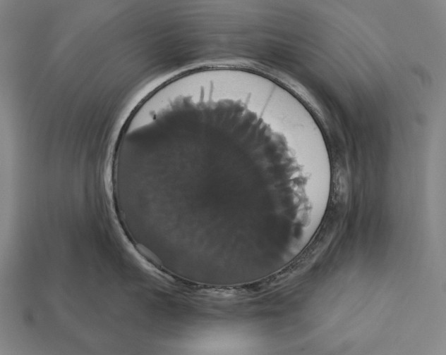 X0000113060959200909250906