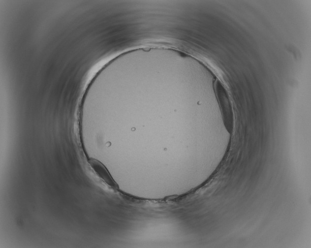 X0000113060960200909250906