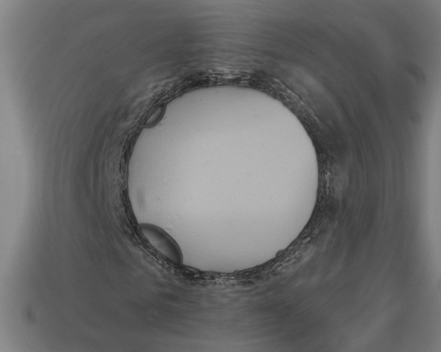 X0000113060961200909250905