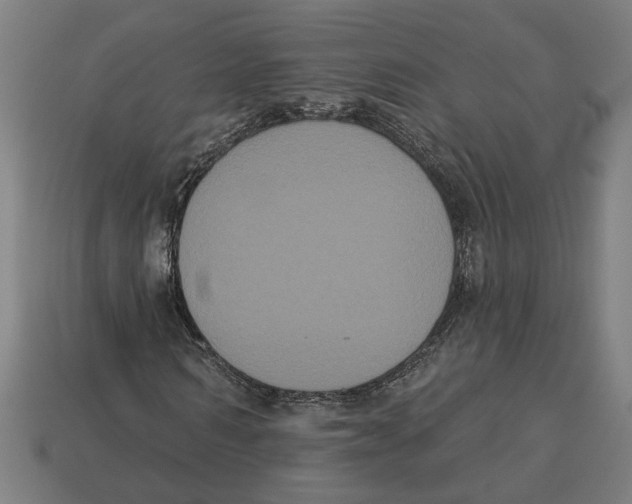 X0000113060962200909250905