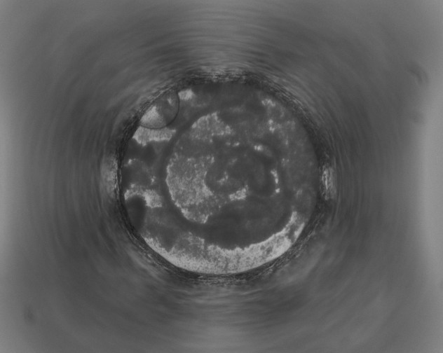 X0000113060963200909250905