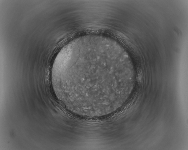 X0000113060964200909250905