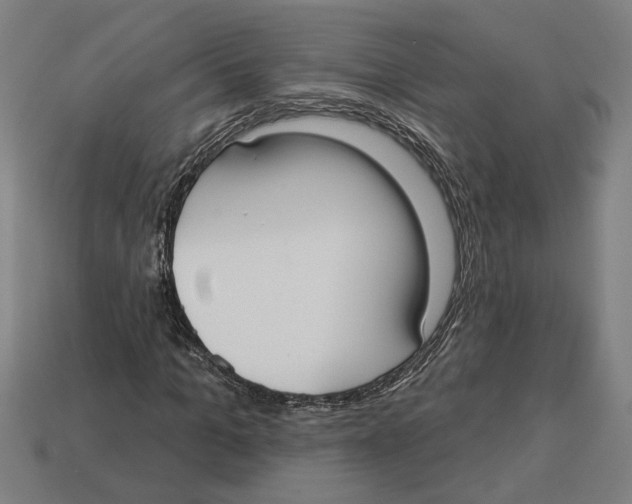 X0000113060965200909250905