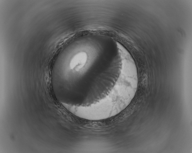 X0000113060966200909250905