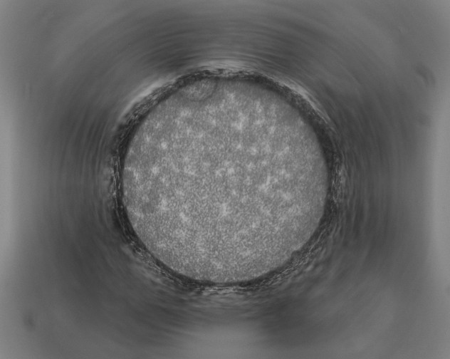 X0000113060967200909250905