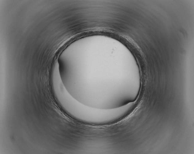 X0000113060969200909250905