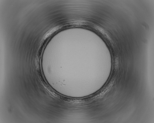 X0000113060970200909250905