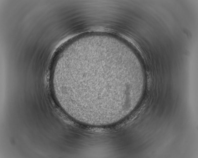 X0000113060971200909250905