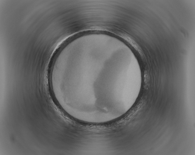 X0000113060972200909250905