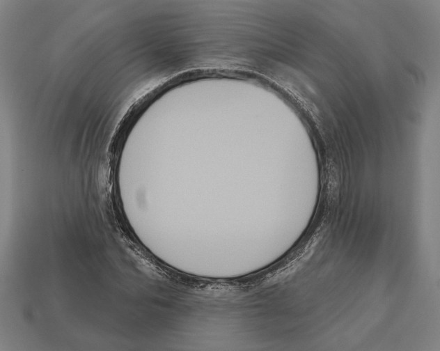 X0000113060974200909250905