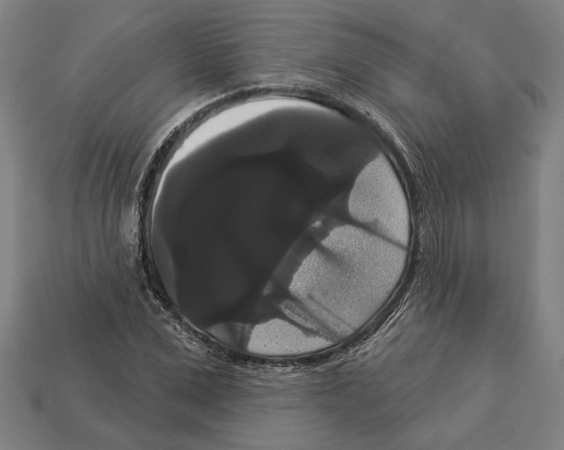 X0000113060975200909250905