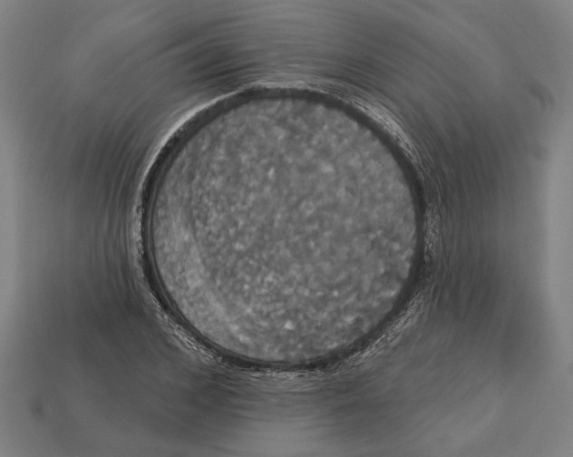 X0000113060976200909250905