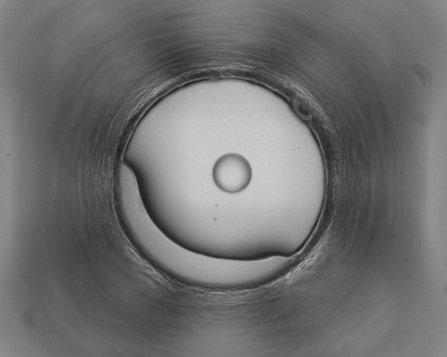 X0000113060977200909250905